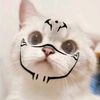 s_ndy06