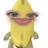 rainimily
