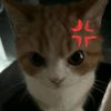 marshyyu