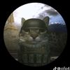 pussy_4_3