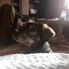 uffavmutt