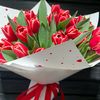 aynur28280