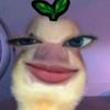 alyanieboss_