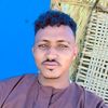 user8202415961261