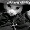soumo_vip
