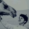 faylaq_917