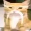 przemysawwojtel