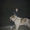 _skendirova