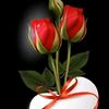 user3069745561338