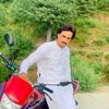 mashaal560