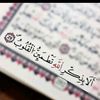 user2660544127791