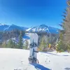 maxel_on_snowboard