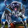 panthersfan6996