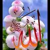 mdalimdali9945
