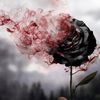 queenofhearts_82