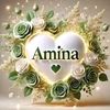 amisko693
