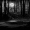 kadele_14