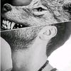 wolfwolf719