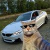 _alexis_967