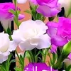 mohamedberchil57