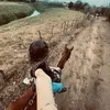 laravalenca8