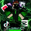 gublox13