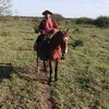 alecoronel563