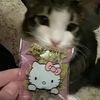 kittysluv080