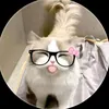 dinhflop92