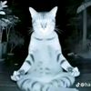 glowhubph