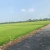bnvbl