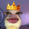 shanxle_who