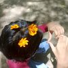 chal_81