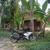 landak_ngabang