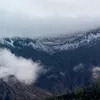 syedarozina871