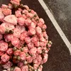 rewoxzz_561