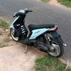 sibiru499