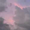 mins_019