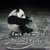 rrrr.panda