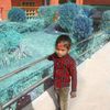 khusbusharma6688