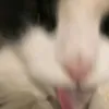 katseye.editsss2