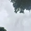 nadette_ocena