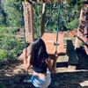 ferndxpg_