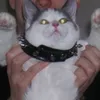 ssssezza