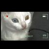 ugur.r1