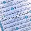 user705576041535