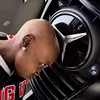 spartan_34_u