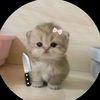 itz.mariya.49