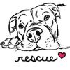 anewleashonliferescue