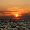attheia_227